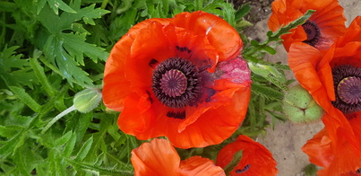 thumb_20210606_092109.jpg