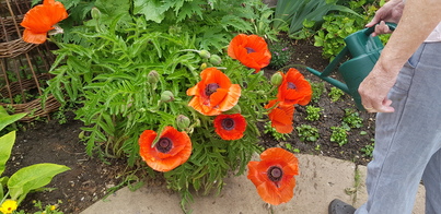 thumb_20210606_092132.jpg