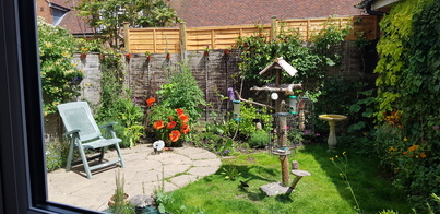thumb_20210607_141243.jpg