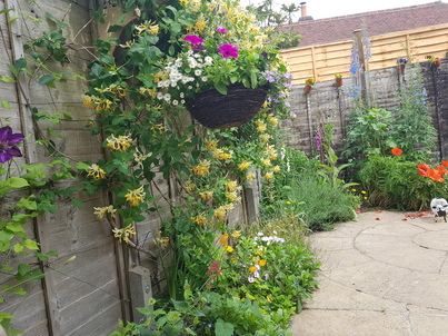 thumb_20210611_143425.jpg