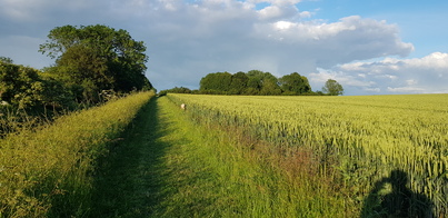 thumb_20210626_200614.jpg
