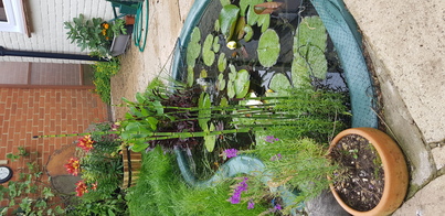 thumb_20210703_112717.jpg