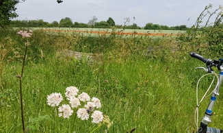 thumb_20210703_181416.jpg