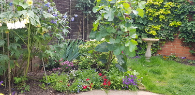 thumb_20210709_140950.jpg