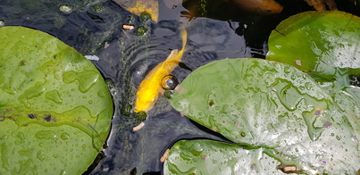 thumb_20210713_133816.jpg