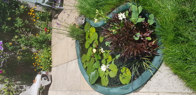 thumb_20210717_124457.jpg
