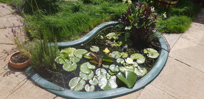 thumb_20210717_124526.jpg