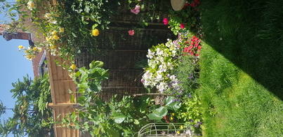 thumb_20210717_131902.jpg