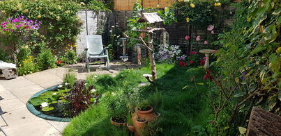 thumb_20210720_112135.jpg