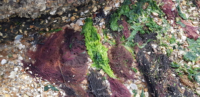 thumb_20210729_112641.jpg
