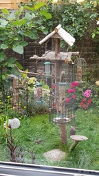 thumb_20210823_121252.jpg