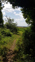 thumb_20210826_132825.jpg
