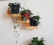 thumb_20210828_162955.jpg