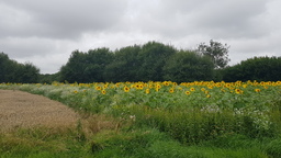 thumb_20210901_092424.jpg