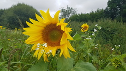 thumb_20210901_092503.jpg