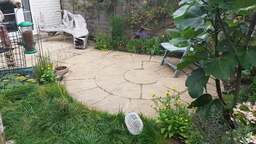 thumb_20210901_175011.jpg
