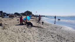 thumb_20210907_130226.jpg