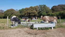 thumb_20210908_142204.jpg