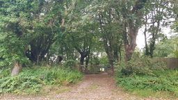 thumb_20210917_083244.jpg