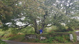 thumb_20210917_093803.jpg