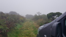thumb_20210918_092054.jpg