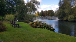 thumb_20210929_114730.jpg