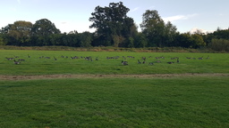 thumb_20210929_175156.jpg