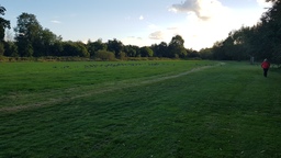 thumb_20210929_175259.jpg