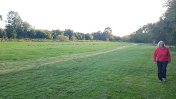 thumb_20210929_175312.jpg
