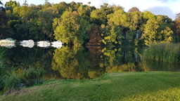 thumb_20210929_175728.jpg