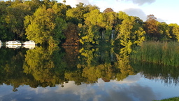 thumb_20210929_175751.jpg