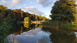 thumb_20210929_180049.jpg