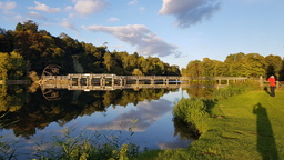 thumb_20210929_180138.jpg