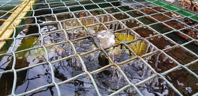 thumb_20210125_095857.jpg