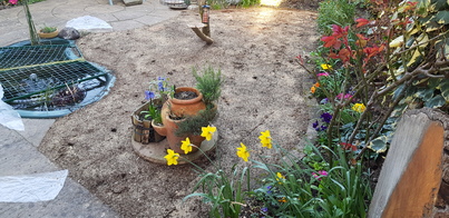 thumb_20210322_160537.jpg