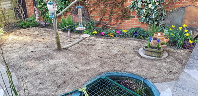 thumb_20210322_160553.jpg
