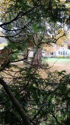 thumb_20211116_111011.jpg