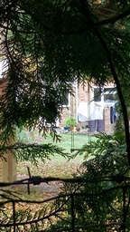 thumb_20211116_111111.jpg