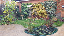 thumb_20211120_104334.jpg