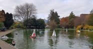 thumb_20211125_090352.jpg