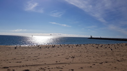 thumb_20211201_133546.jpg
