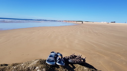 thumb_20211211_125541.jpg
