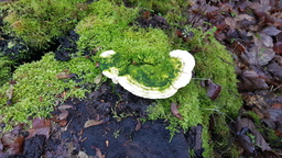 thumb_20220113_153607.jpg