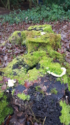 thumb_20220113_153615.jpg