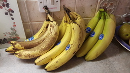 thumb_20220122_164628.jpg