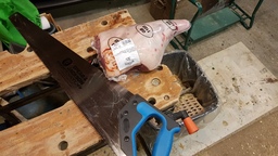 thumb_20220128_092723.jpg