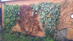 thumb_20220204_124800.jpg