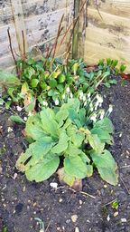 thumb_20220207_094104.jpg