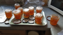 thumb_20220216_113350.jpg