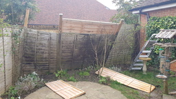 thumb_20220218_120740.jpg